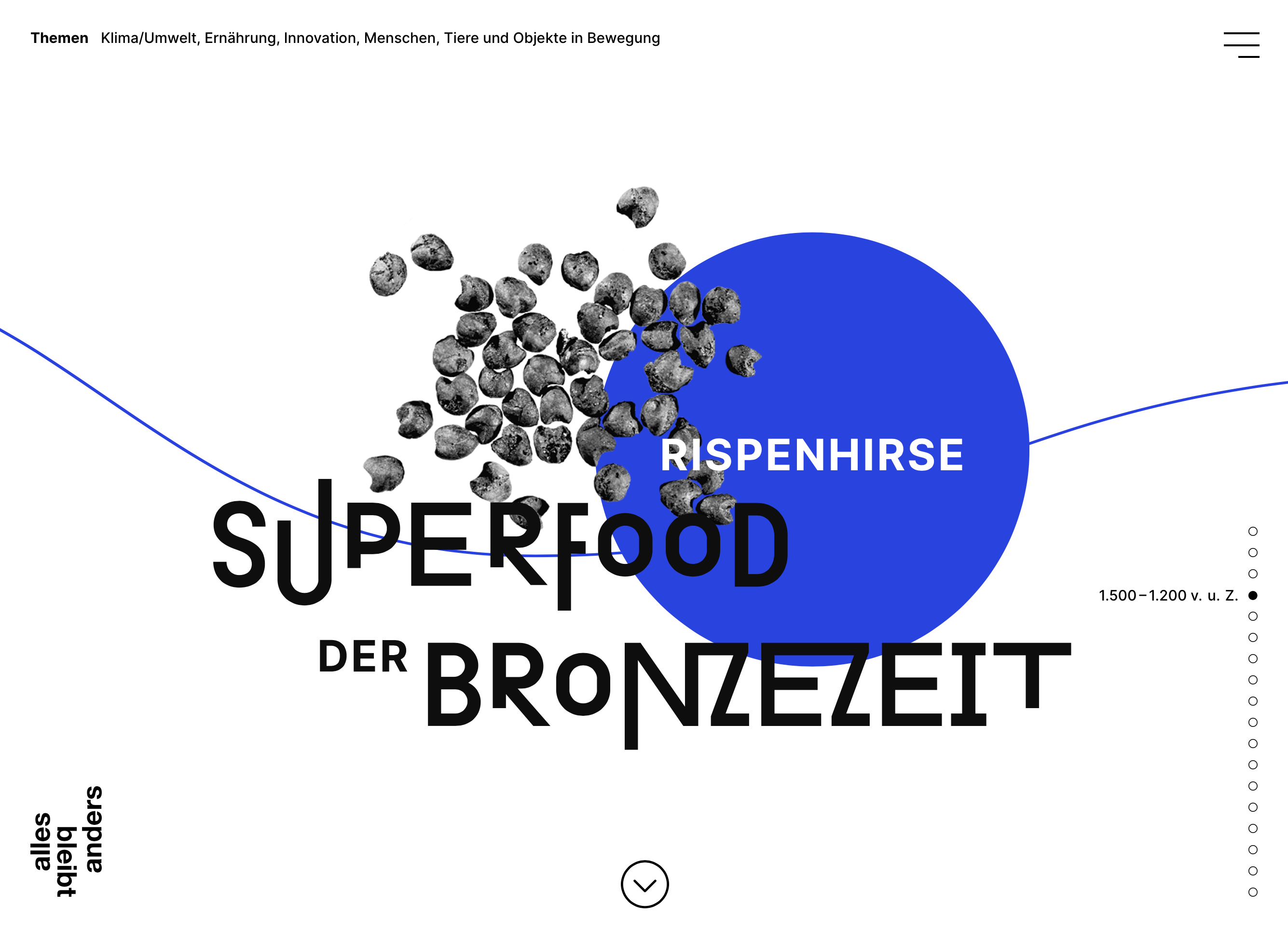 Screenshot von der Projekt-Webseite; Aufschrift: Rispenhirse – Superfood der Bronzezeit