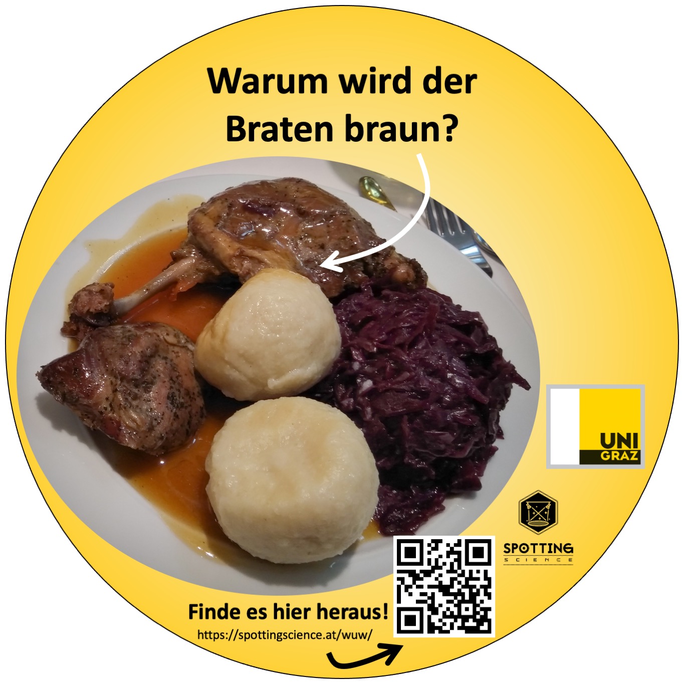 Auszug aus dem Projekt: Ein Teller mit Braten und Knödeln, dazu die Aufschrift "Warum wird der Braten braun?"